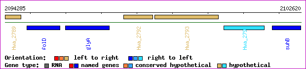 gene map