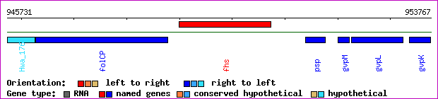 gene map
