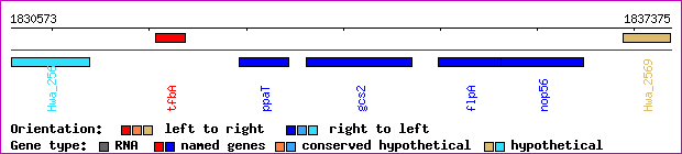 gene map