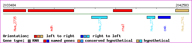 gene map