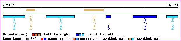 gene map
