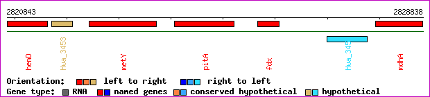 gene map