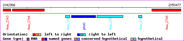gene map