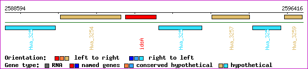 gene map