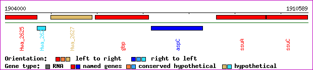 gene map
