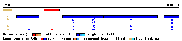 gene map