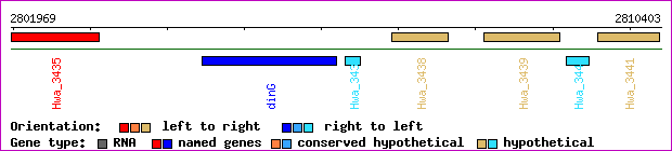 gene map