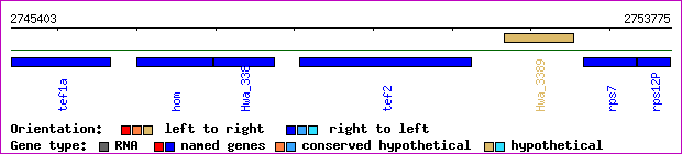 gene map