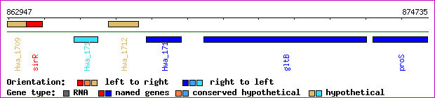 gene map
