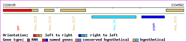 gene map