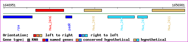 gene map