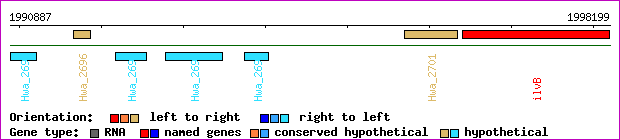 gene map