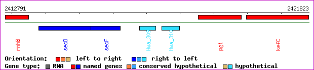 gene map