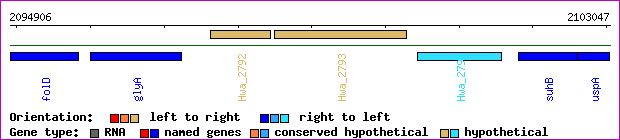 gene map