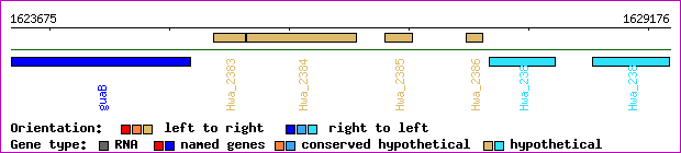gene map