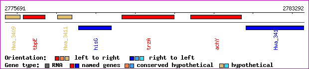 gene map