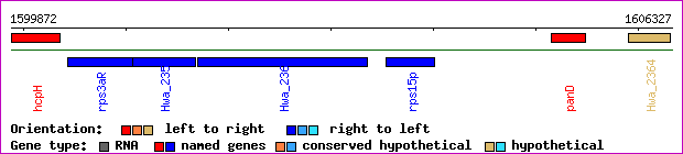 gene map