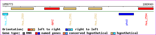 gene map
