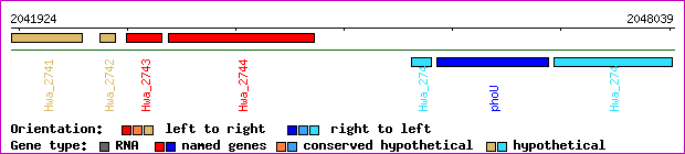 gene map