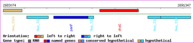 gene map