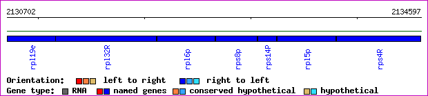 gene map