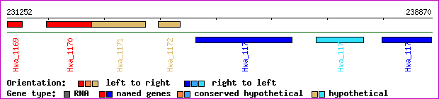 gene map