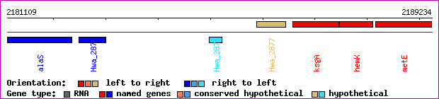 gene map