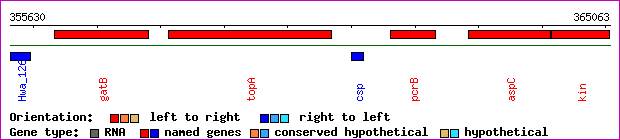 gene map