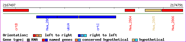gene map