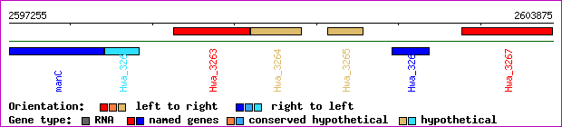 gene map