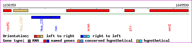 gene map