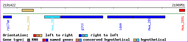 gene map