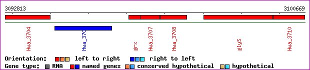 gene map