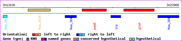 gene map