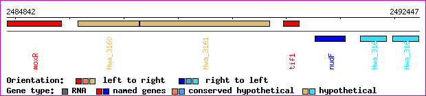 gene map