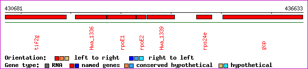 gene map
