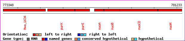 gene map