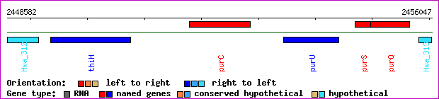 gene map