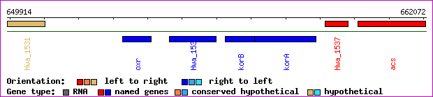 gene map