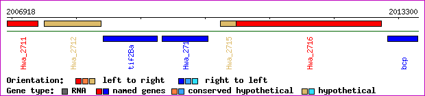 gene map
