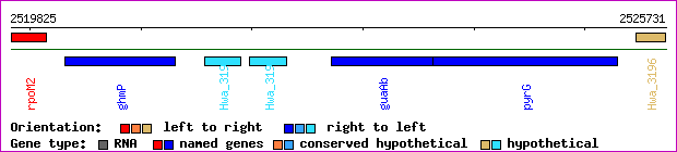 gene map
