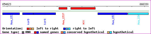 gene map