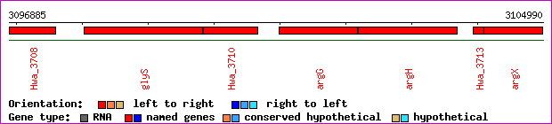 gene map