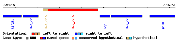 gene map
