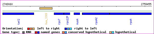 gene map