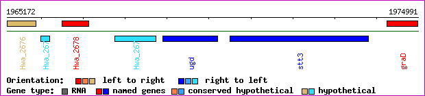 gene map