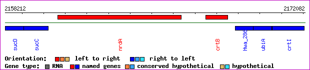gene map