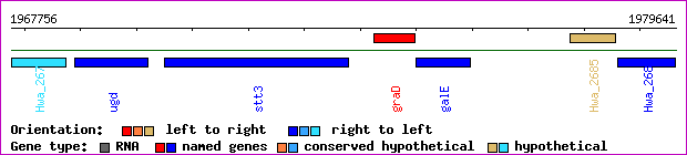 gene map
