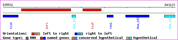 gene map