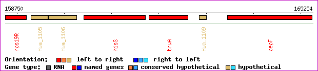 gene map